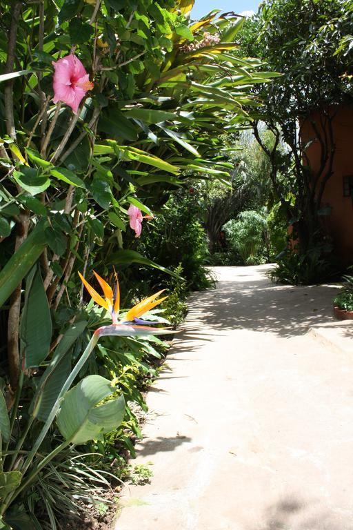 Palmwood Lodge Lusaka Ngoại thất bức ảnh