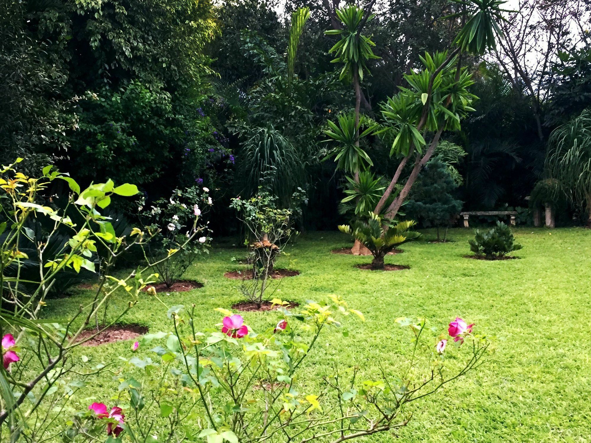 Palmwood Lodge Lusaka Ngoại thất bức ảnh