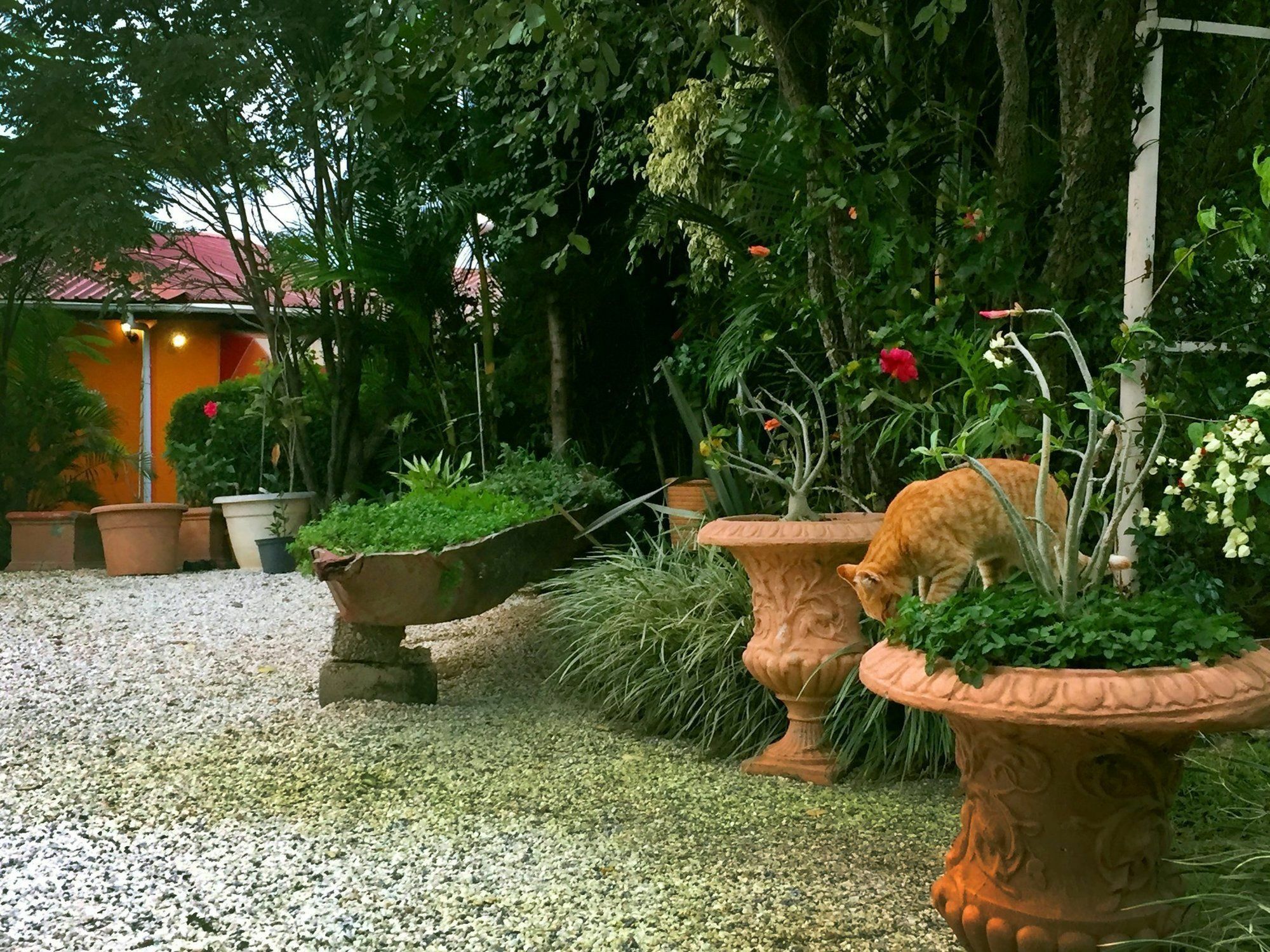 Palmwood Lodge Lusaka Ngoại thất bức ảnh